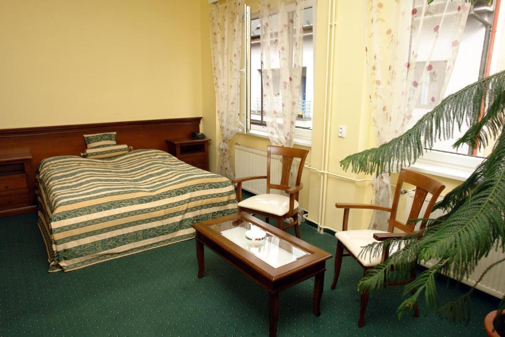 Hotel Bila Ruze Pisek  Room photo